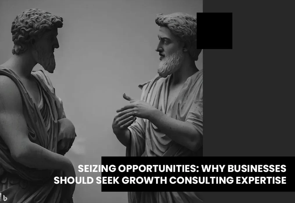 Seizing Opportunities: Why Businesses Should Seek Growth Consulting Expertise